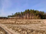 Дмитрівська сільська рада (с. Дмитровка, Киево-Святошинский район) - Продається сільськогосподарська ділянка, 13000 $ - АФНУ