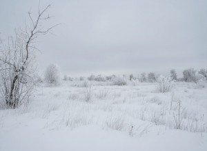 не призначена (пгт. Гостомель, г. Ирпень) - Продається сільськогосподарська ділянка, 3000 $ - АФНУ