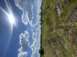 Молодіжна (г. Ирпень) - Продається ділянка під забудову, 122000 $ - АФНУ