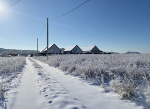 не визначена (с. Михайловка-Рубежовка, Киево-Святошинский район) - Продається ділянка під забудову, 79000 $ - АФНУ