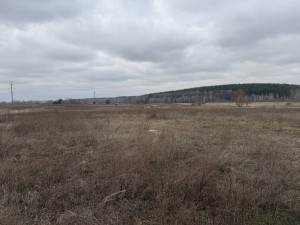 Мироцька сільська рада (с. Мироцкое, Киево-Святошинский район) - Продається сільськогосподарська ділянка, 49500 $ - АФНУ