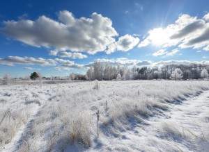 вул.Почепин (с. Почепин, Макаровский район) - Продається ділянка під забудову, 16500 $ - АФНУ