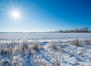 не призначена (с. Олеевка, Житомирский район) - Продається сільськогосподарська ділянка, 3200 $ - АФНУ