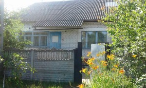 ул. Черниговская (с. Редьковка, Репкинский район) - Продається будинок, 23000 $ - АФНУ