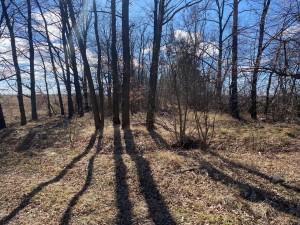 Блиставицька сільська рада (пгт. Гостомель, г. Ирпень) - Продається сільськогосподарська ділянка, 11000 $ - АФНУ