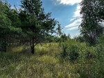 не призначена (с. Михайловка-Рубежовка, Киево-Святошинский район) - Продається сільськогосподарська ділянка, 7000 $ - АФНУ