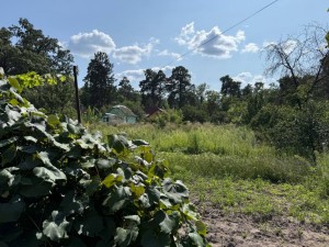 Кленова (пгт. Ворзель, г. Ирпень) - Продається ділянка під забудову, 31500 $ - АФНУ