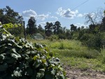 Кленова (пгт. Ворзель, г. Ирпень) - Продається ділянка під забудову, 31500 $ - АФНУ