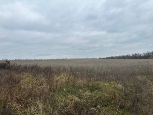 не відомо (пгт. Гостомель, г. Ирпень) - Продається сільськогосподарська ділянка, 15000 $ - АФНУ