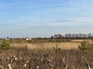 ділянка №282 (с. Микуличи, Бородянский район) - Продається ділянка під забудову, 10000 $ - АФНУ