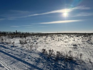 не призначена (с. Микуличи, Бородянский район) - Продається ділянка під забудову, 9000 $ - АФНУ