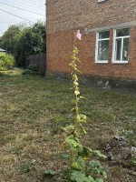 ул. Київська, 90 (г. Житомир, Королевский район) - Продається квартира, 51000 $ - АФНУ