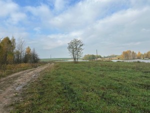 не призначена (с. Михайловка-Рубежовка, Киево-Святошинский район) - Продається сільськогосподарська ділянка, 22000 $ - АФНУ