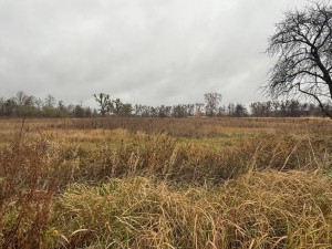 вул.Дружби (Радянська) (с. Мироцкое, Киево-Святошинский район) - Продається коммерційна ділянка, 9000 $ - АФНУ