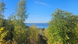 Набережно-Дніпровська (с. Новые Петровцы, Вышгородский район) - Продається ділянка під забудову, 109000 $ - АФНУ