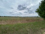 не призначена (с. Горенка, Киево-Святошинский район) - Продається сільськогосподарська ділянка, 13500 $ - АФНУ