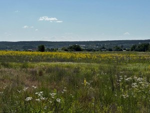 вул.Б.Хмельницького, 41 (с. Михайловка-Рубежовка, Киево-Святошинский район) - Продається ділянка під забудову, 10000 $ - АФНУ