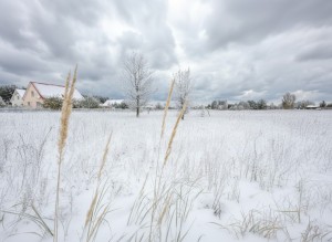 вул.Пратва, 16 (с. Блиставица, Бородянский район) - Продається ділянка під забудову, 25000 $ - АФНУ