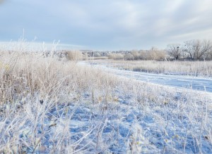 не призначена (г. Буча) - Продається ділянка під забудову, 600000 $ - АФНУ