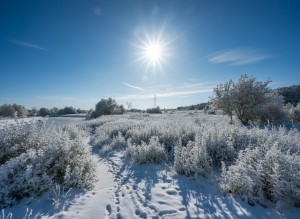 не призначена (г. Ирпень) - Продається сільськогосподарська ділянка, 6000 $ - АФНУ