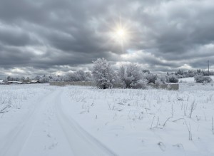 не призначена (с. Михайловка-Рубежовка, Киево-Святошинский район) - Продається сільськогосподарська ділянка, 15000 $ - АФНУ