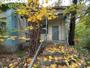 вул.Семеніївська, 5-а (пгт. Ворзель, г. Ирпень) - Продається рекреаційний об'єкт, 67000 $ - АФНУ