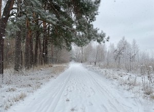 вул.Вишнева (с. Михайловка-Рубежовка, Киево-Святошинский район) - Продається ділянка під забудову, 120000 $ - АФНУ