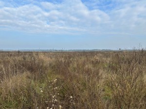 не призначена (с. Михайловка-Рубежовка, Киево-Святошинский район) - Продається ділянка під забудову, 15000 $ - АФНУ