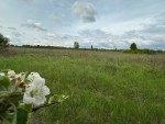 не призначена (пгт. Гостомель, г. Ирпень) - Продається сільськогосподарська ділянка, 23000 $ - АФНУ