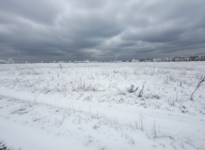 Мироцька сільська рада (с. Мироцкое, Киево-Святошинский район) - Продається сільськогосподарська ділянка, 49500 $ - АФНУ