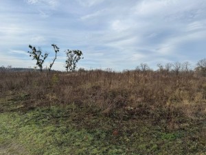 не призначена (г. Буча, Ястремщина) - Продається ділянка під забудову, 200000 $ - АФНУ