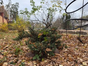 не визначена (пгт. Ворзель, г. Ирпень) - Продається ділянка під забудову, 150000 $ - АФНУ