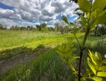 вул.Леонтовича (пгт. Гостомель, г. Ирпень) - Продається сільськогосподарська ділянка, 7000 $ - АФНУ