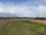 вул.Паліїв, 19 (с. Козинцы, Бородянский район) - Продається ділянка під забудову, 8500 $ - АФНУ