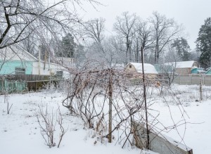 Кленова (пгт. Ворзель, г. Ирпень) - Продається ділянка під забудову, 31500 $ - АФНУ