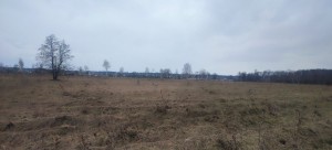 не призначена (с. Сувид, Вышгородский район) - Продається сільськогосподарська ділянка, 4000 $ - АФНУ