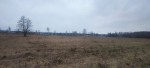 не призначена (с. Сувид, Вышгородский район) - Продається сільськогосподарська ділянка, 4000 $ - АФНУ