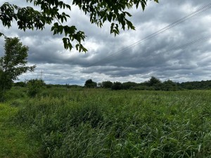 не призначена (г. Ирпень) - Продається сільськогосподарська ділянка, 6900 $ - АФНУ