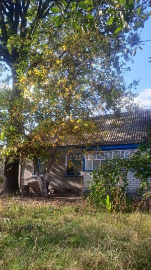 шкільна, 25 (с. Студеница, Коростышевский район) - Продається будинок, 20000 $ - АФНУ