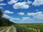 ул Школьная (пгт. Барышовка, Барышевский район) - Продається ділянка під забудову, 5500 $ - АФНУ