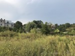 пров.Шкільний, 34 (с. Диброва, Васильковский район) - Продається ділянка під забудову, 10000 $ - АФНУ