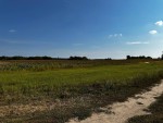 не призначена (с. Забырье, Киево-Святошинский район) - Продається сільськогосподарська ділянка, 220000 $ - АФНУ