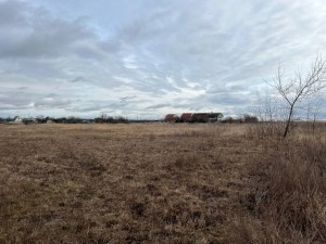 не призначена (с. Мироцкое, Киево-Святошинский район) - Продається ділянка під забудову, 20000 $ - АФНУ