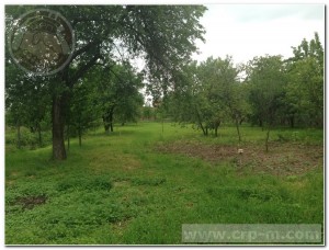 р-н Монастыря (г. Мукачево, Росвигово) - Продається будинок, 180000 $ - АФНУ