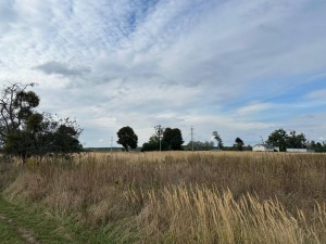 не визначена (с. Мироцкое, Киево-Святошинский район) - Продається сільськогосподарська ділянка, 22000 $ - АФНУ