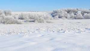 не призначена (г. Буча) - Продається ділянка під забудову, 133000 $ - АФНУ