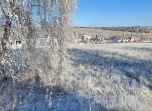 вул.Польова (с. Горбовичи, Киево-Святошинский район) - Продається ділянка під забудову, 50000 $ - АФНУ