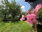 не визначена (с. Почепин, Макаровский район) - Продається ділянка під забудову, 43000 $ - АФНУ