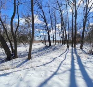 Блиставицька сільська рада (пгт. Гостомель, г. Ирпень) - Продається сільськогосподарська ділянка, 11000 $ - АФНУ