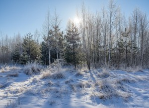 ділянка №5 (пгт. Гуйва, Житомирский район) - Продається ділянка під забудову, 3000 $ - АФНУ
